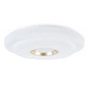 Plafoniera Led Lampada Da Soffitto 60w Luce Bianco Freddo 6500k Oro Bianco 63824