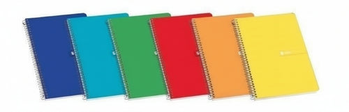 Enri Plus Quaderno Spirale Formato Folio Quadrato 4x4mm - 80 Fogli 60gr con Margine - Copertina Rigida - Colori Assortiti