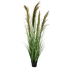 Pianta artificiale Carine Pampas verde e marrone, fiore in ciuffi con vaso in plastica