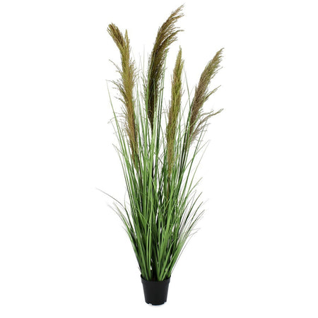 Pianta artificiale "Carine Pampas" verde e marrone, fiore in ciuffi con vaso in plastica