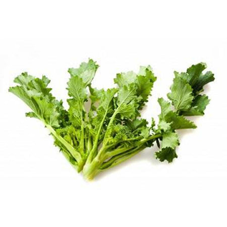 Semi di cima di rapa molfettese 60 giorni cima grande pugliese