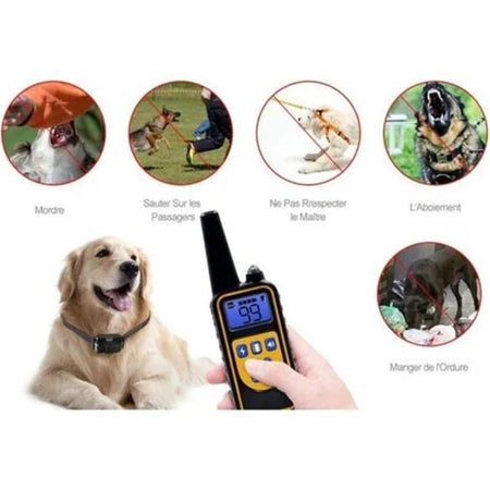 Collare Da Addestramento Per Cani Antiabbaio Telecomando Ricaricabile Ipx7 Impermeabile