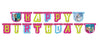 1 FESTONE HAPPY BIRTHDAY TEMA FROZEN