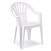 Set 2pz Sedia Monoblocco In Plastica Schienale Alto Con Braccioli Bianco Giardino 008938