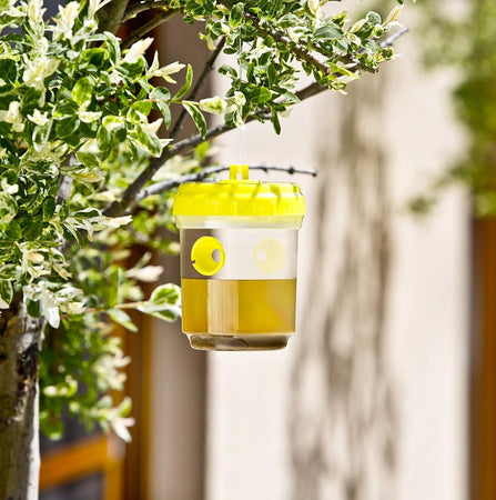 Set 6 Pz Trappola Per Vespe Calabroni Insetti Da Appendere Balcone Giardino 020176