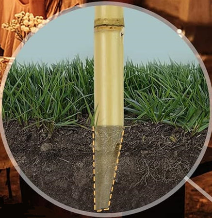Set 12pz Torcia In Bambù Naturale 150cm Da Giardino Per Esterni Con Stoppino 020097 02335
