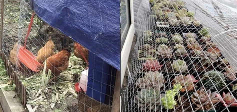 Rete Metallica Zincata 1.5x3mt Recinzione Protezione Alberi Giardino Animali 020250