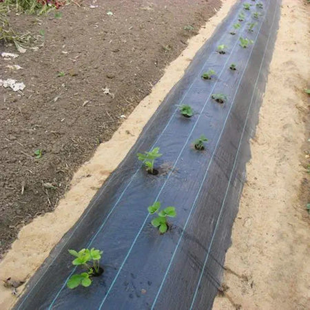 Rete Anti Erba Telo Pacciamatura Per Orto Giardino Serra 1.5x10mt Resistente 023297