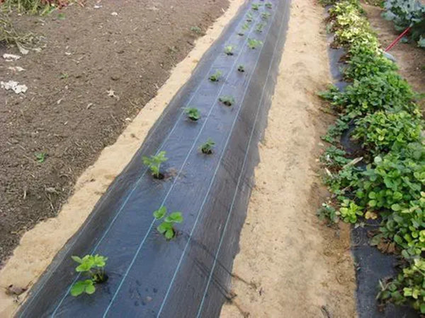 Rete Anti Erba Telo Pacciamatura Per Orto Giardino Serra 1.5x10mt Resistente 023297