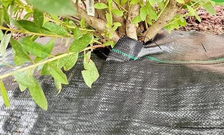 Rete Anti Erba Telo Pacciamatura Per Orto Giardino Serra 1.5x10mt Resistente 023297