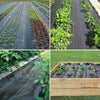 Set 3pz Rete Anti Erba Telo Pacciamatura Orto Giardino Serra 1x10mt Resistente 129912