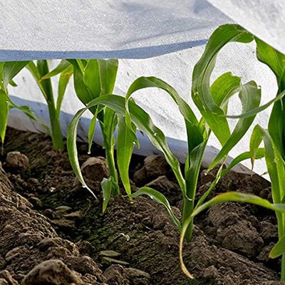 Set 3pz Rotoli Telo Protettivo Tessuto Protezione Delle Colture Raccolti 1x10mt 134058