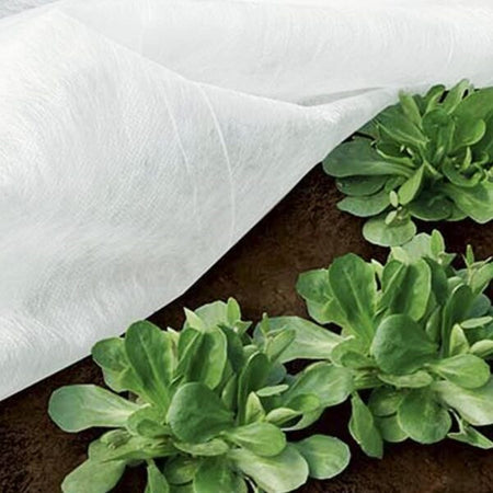 Set 3pz Rotoli Telo Protettivo Tessuto Protezione Delle Colture Raccolti 1.5x10mt 134059