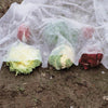 Set 3 Pz Rotoli Telo Protettivo Tessuto Protezione Delle Colture Raccolti 2x10mt 134060