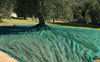 Set 3pz Rete Per Raccolta Olive Frutta Piantagioni Resistente Durevole 3x8mt Verde 222270
