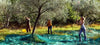 Set 3pz Rete Per Raccolta Olive Frutta Piantagioni Resistente Durevole 3x8mt Verde 222270