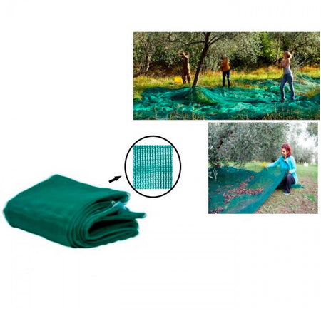 Set 3pz Rete Per Raccolta Olive Frutta Piantagioni 4x6mt Resistente Durevole Verde 222272