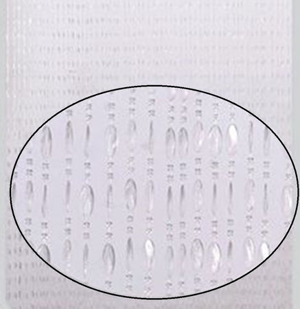 Tenda Moschiera Antimosche Con Fili Perline Trasparente In Pvc 140x230cm Tpl47 017341