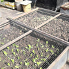 Set 3pz Rete Metallica Zincata 0.5x3mt Recinzione Protezione Alberi Giardino Animali 020248