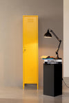 Armadio Cambridge in acciaio monocolore