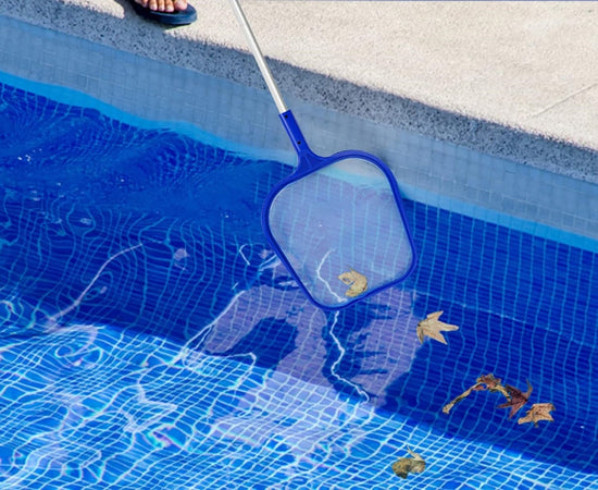 Retino Per Piscina Con Manico Estensibile 185x30cm Strumento Pulizia Foglie 017544