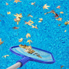 Retino Per Piscina Con Manico Estensibile 185x30cm Strumento Pulizia Foglie 017544