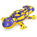 Cavalcabile Gonfiabile Forma Salamandra Galleggiante 191 X 119 Cm Con Maniglie 41502