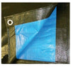 Telone Rafia 100gr Copertura Per Piscina 2x3mt Impermeabile Resistente Occhielli 404434