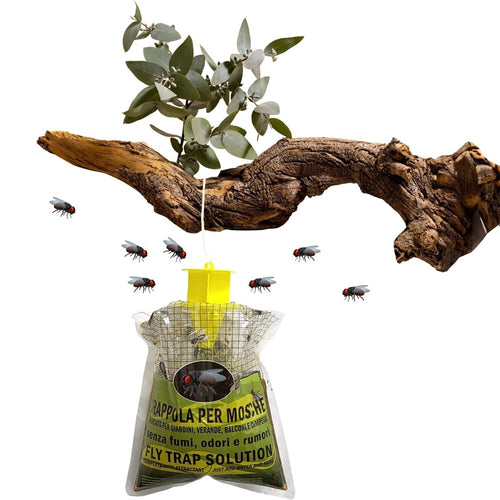 Set 12pz Trappola Per Mosche Insetti Con Esca Naturale Ecologica Sicura Umani Animali 639719a
