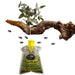 Set 12pz Trappola Per Mosche Insetti Con Esca Naturale Ecologica Sicura Umani Animali 639719a