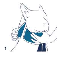 Collare antileccamento per cani Bt Neck Eco
