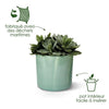 ELHO The Ocean Collection Vaso da fiori rotondo 22 - Verde -  22 x H 20 cm - interno - 100% riciclato