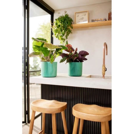 ELHO The Ocean Collection Vaso da fiori rotondo 22 - Verde -  22 x H 20 cm - interno - 100% riciclato