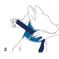 Collare antileccamento per cani Bt Neck Eco