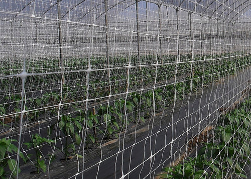 RETE PER RAMPICANTI SOSTENGREEN HL.200 ROT. ML.100 DF 606734