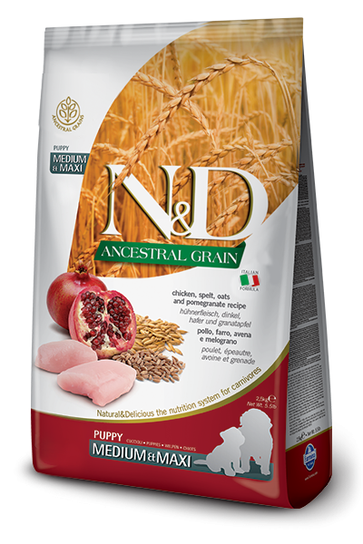 Farmina N&D Ancestral Grain mangime secco Cani Puppy Medium Maxi pollo e melograno