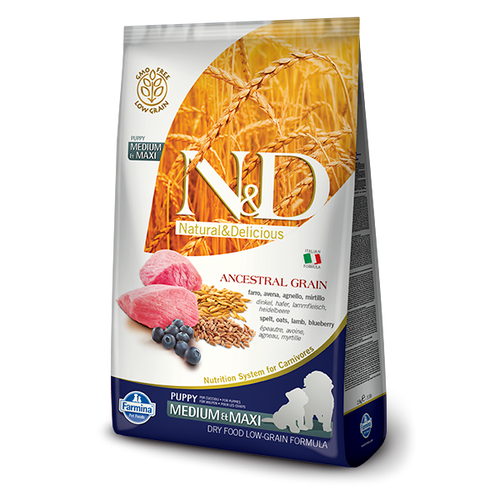 Farmina N&D Ancestral Grain mangime secco Puppy Medium Maxi agnello e mirtillo