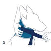 Collare antileccamento per cani Bt Neck Eco