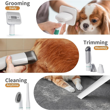 Kit Per Toelettatura Cani Gatti Con Spazzola Tosatrice Accessori Pulizia Aspiratrice Pelo