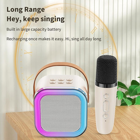 CASSA ALTOPARLANTE BLUETOOTH CON MICROFONO PROFESSIONALE AUDIO PICCOLA PER CASA KARAOKE