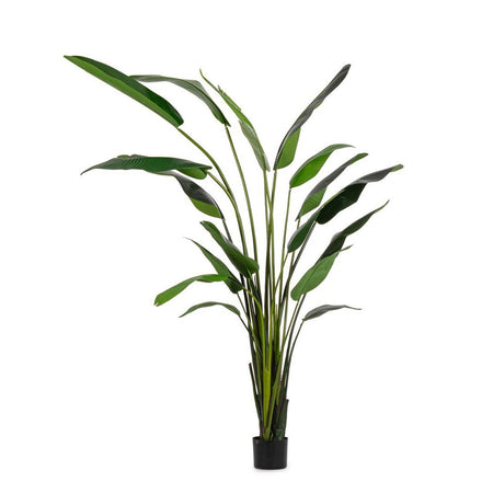 Pianta "Strelitzia" con vaso in plastica nero, foglie in gomma