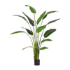 Pianta Strelitzia con vaso in plastica nero, foglie in gomma