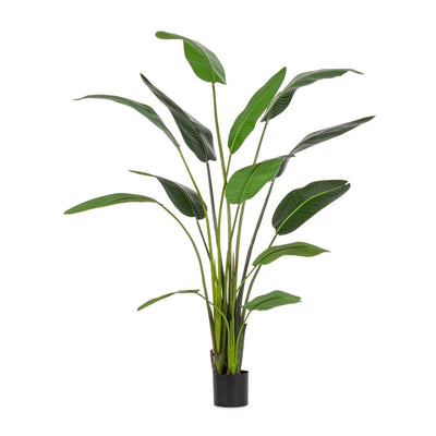 Pianta Strelitzia con vaso in plastica nero, foglie in gomma