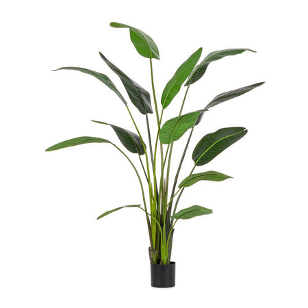 Pianta "Strelitzia" con vaso in plastica nero, foglie in gomma