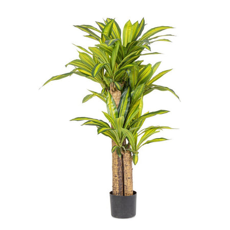 Pianta artificiale "Dracaena" con vaso in plastica nero, con foglie in gomma