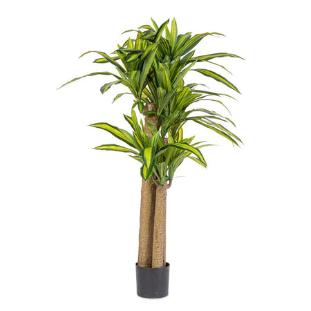 Pianta artificiale "Dracaena" con vaso in plastica nero, con foglie in gomma