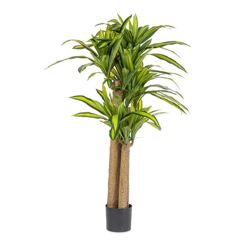 Pianta artificiale Dracaena con vaso in plastica nero, con foglie in gomma