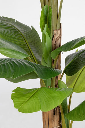 Pianta artificiale "Banano" con vaso nero, foglie in gomma, realistica