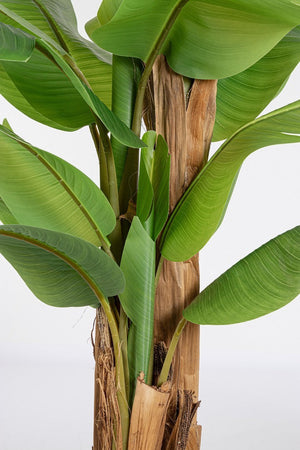 Pianta artificiale "Banano" con vaso nero, foglie in gomma, realistica
