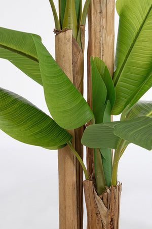 Pianta artificiale "Banano" con vaso nero, foglie in gomma, realistica
